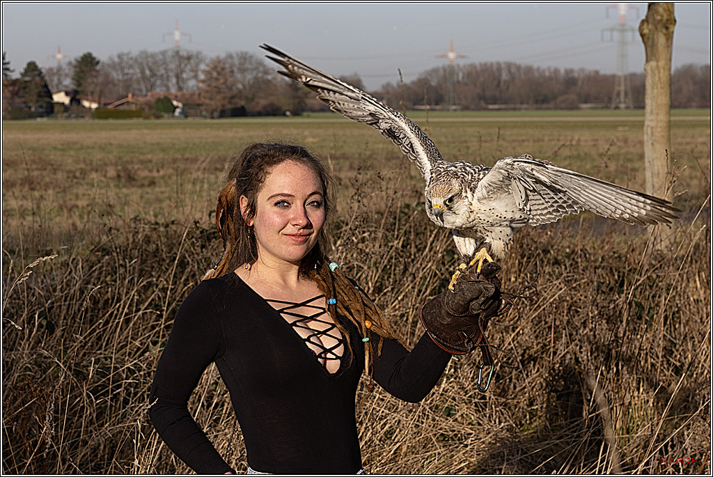 Cheyenne-Halbblut Hunting Wolf in der Falknerei Pierre Schmidt; Gymnich, 09.02.2023